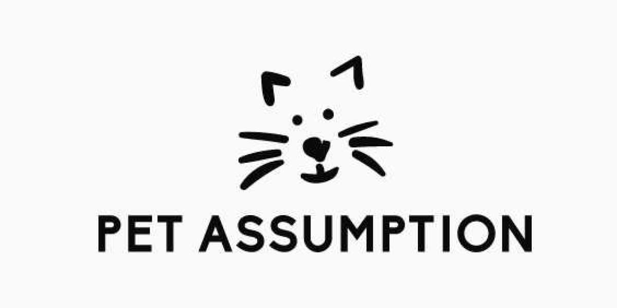 Find Out Now, What Should You Do For Fast PET ASSUMPTION?