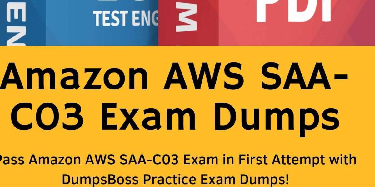 AWS SAA-C03 Exam Dumps