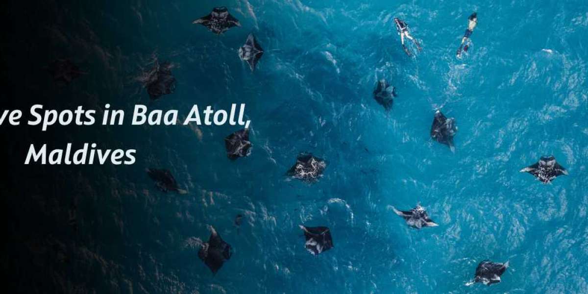 Best Dive Spots in Baa Atoll, Maldives