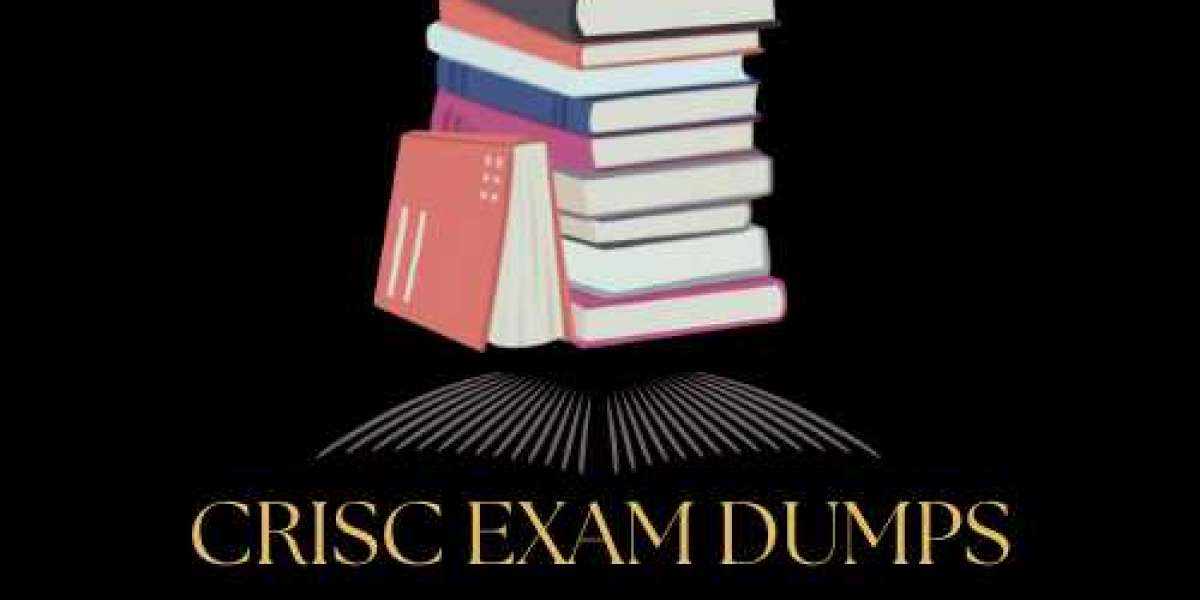 From Study to Success: CRISC Exam Preparation Journeys