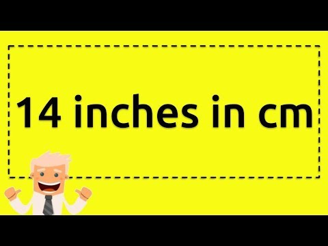 14 inches to cm - 3Plus2Five