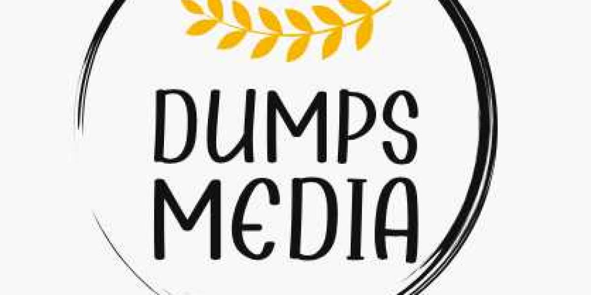 Exploring the Consequences: The Real Cost of Dumps Media