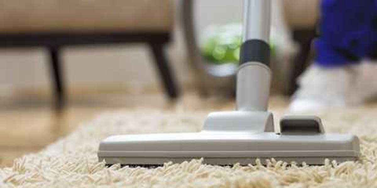 Carpet Cleaning Services for Allergen-Free Environments