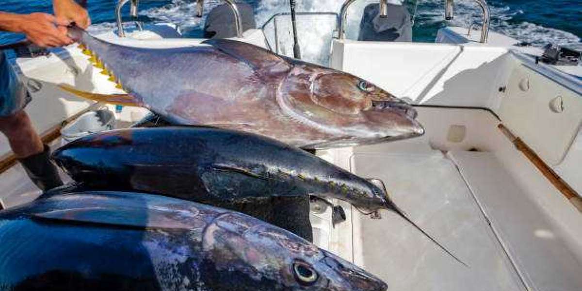 The Thrills and Spills of Deep Sea Fishing Explained
