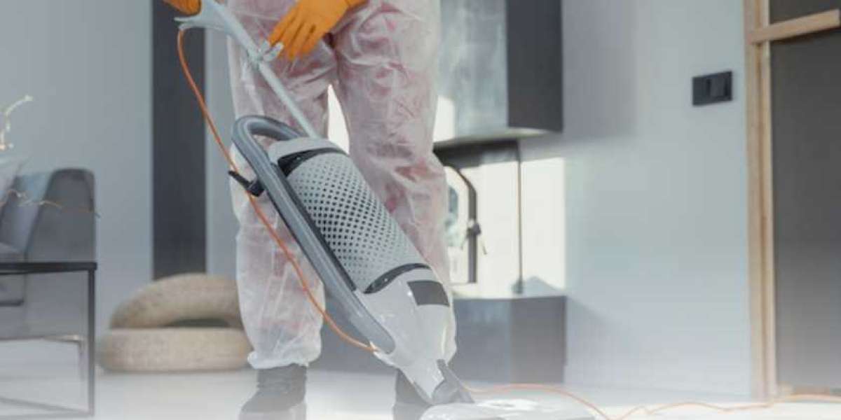 How Professional Carpet Cleaning Services Boosts Home Health