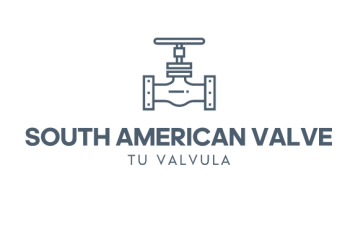 Premium Check Valve Supplier in Mexico - South American Valve
