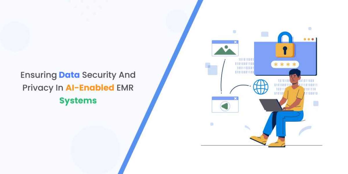 Ensuring Data Security and Privacy in AI-Enabled EMR Systems