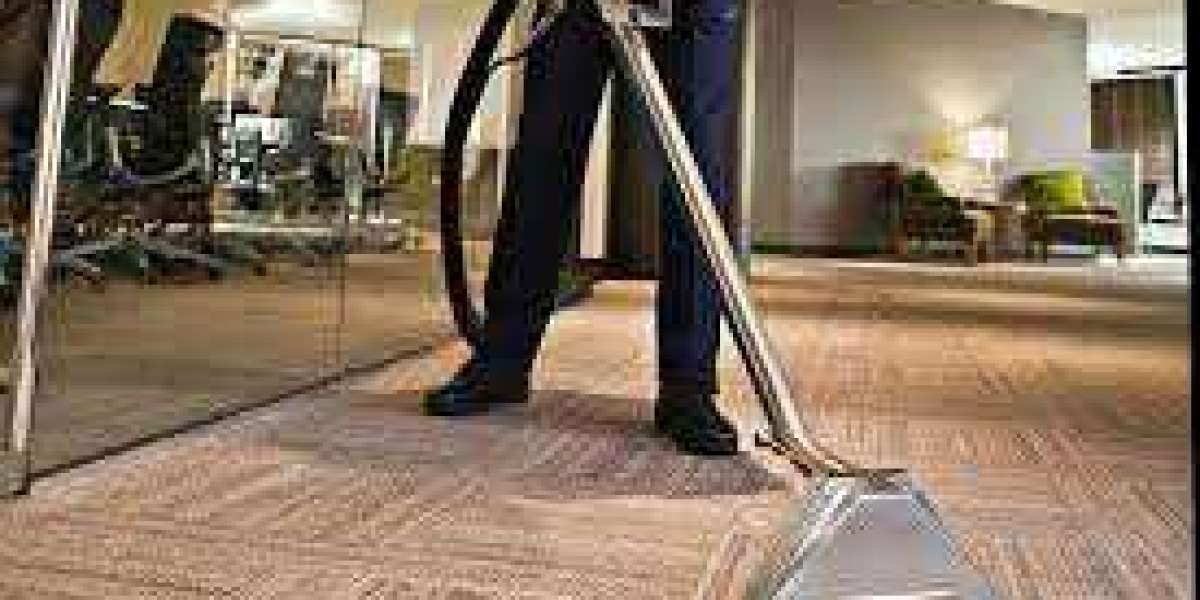 Keeping Your Home Fresh: Why Pet Owners Need Professional Carpet Cleaning