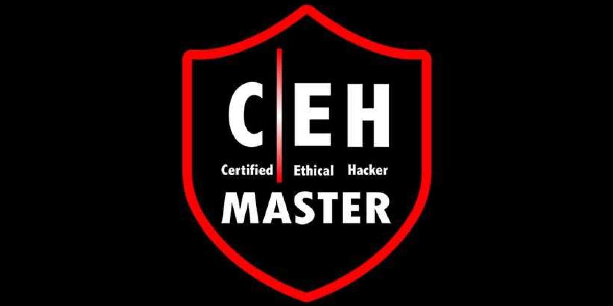 Become an Expert with CEH Master Training in Delhi