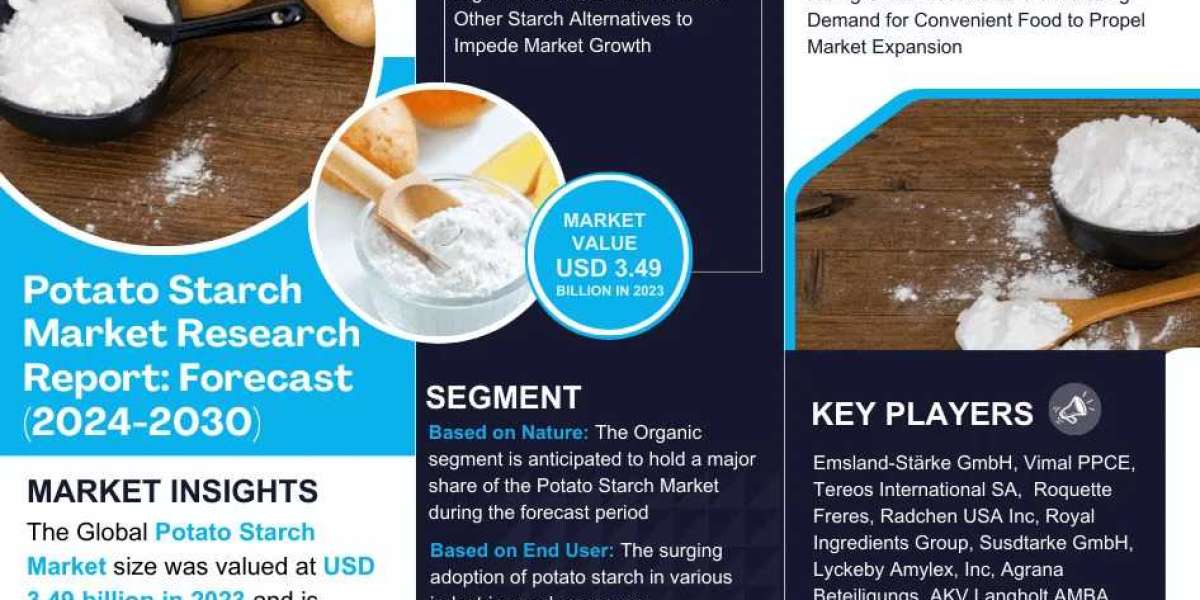 Potato Starch Market Reaches USD 3.49 Billion in 2023, Set to Maintain Strong 3.1% CAGR Momentum