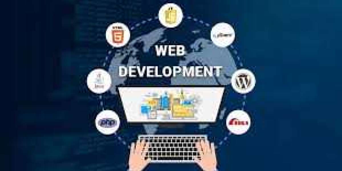 Website designing in Meerut | Promotion Paradise